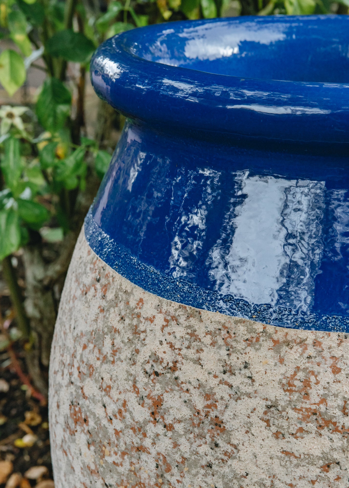 Olive Pots with Lapis Lazuli Neck (70cm)