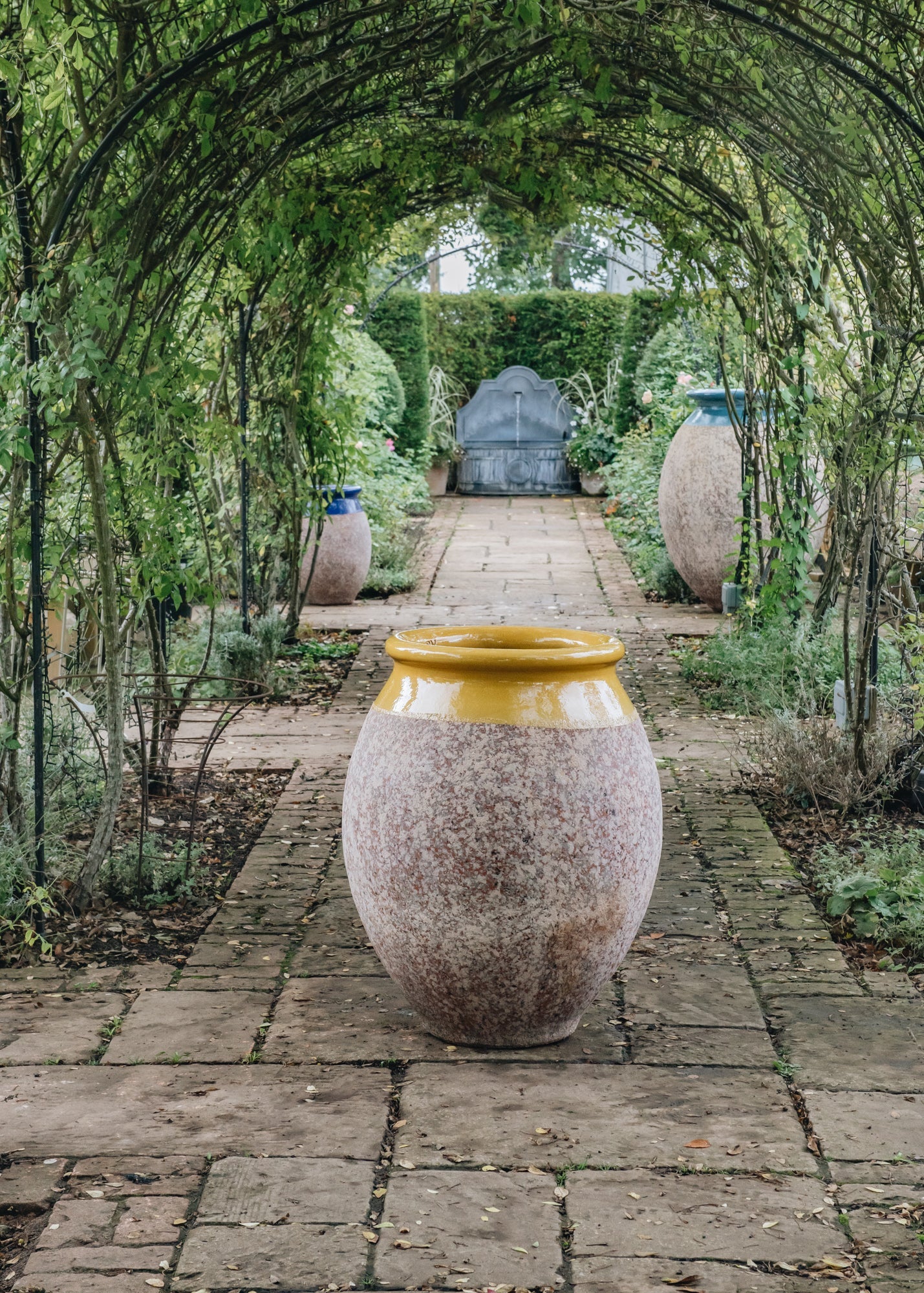 Olive Pots with Yellow Neck (90cm)