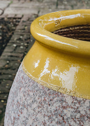 Olive Pots with Yellow Neck