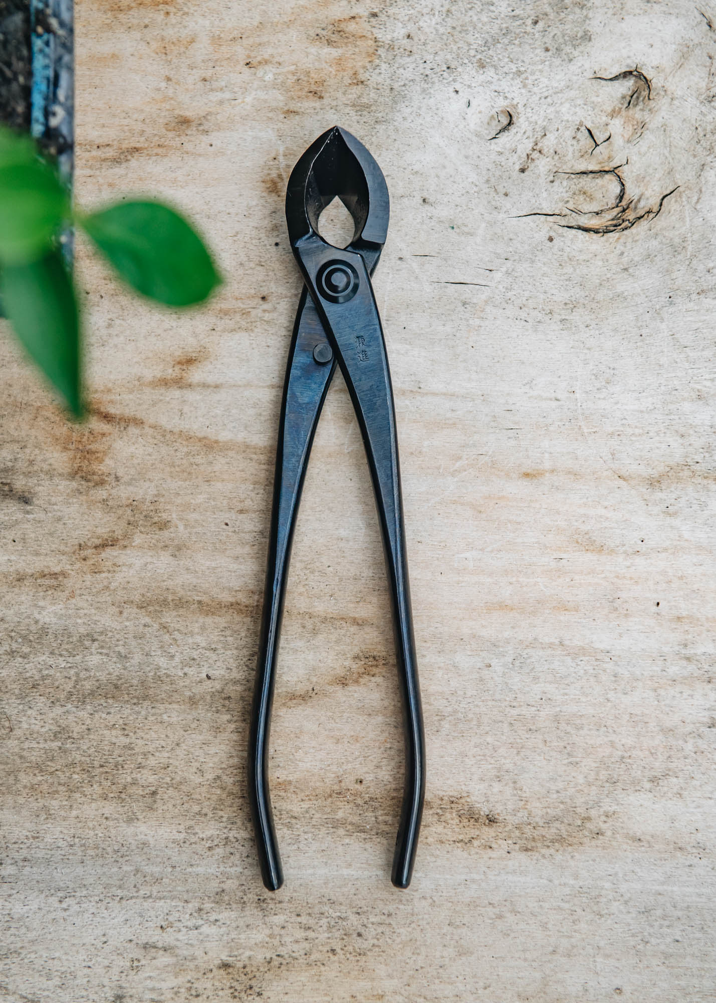 Niwaki Kaneshin Bonsai Branch Cutters