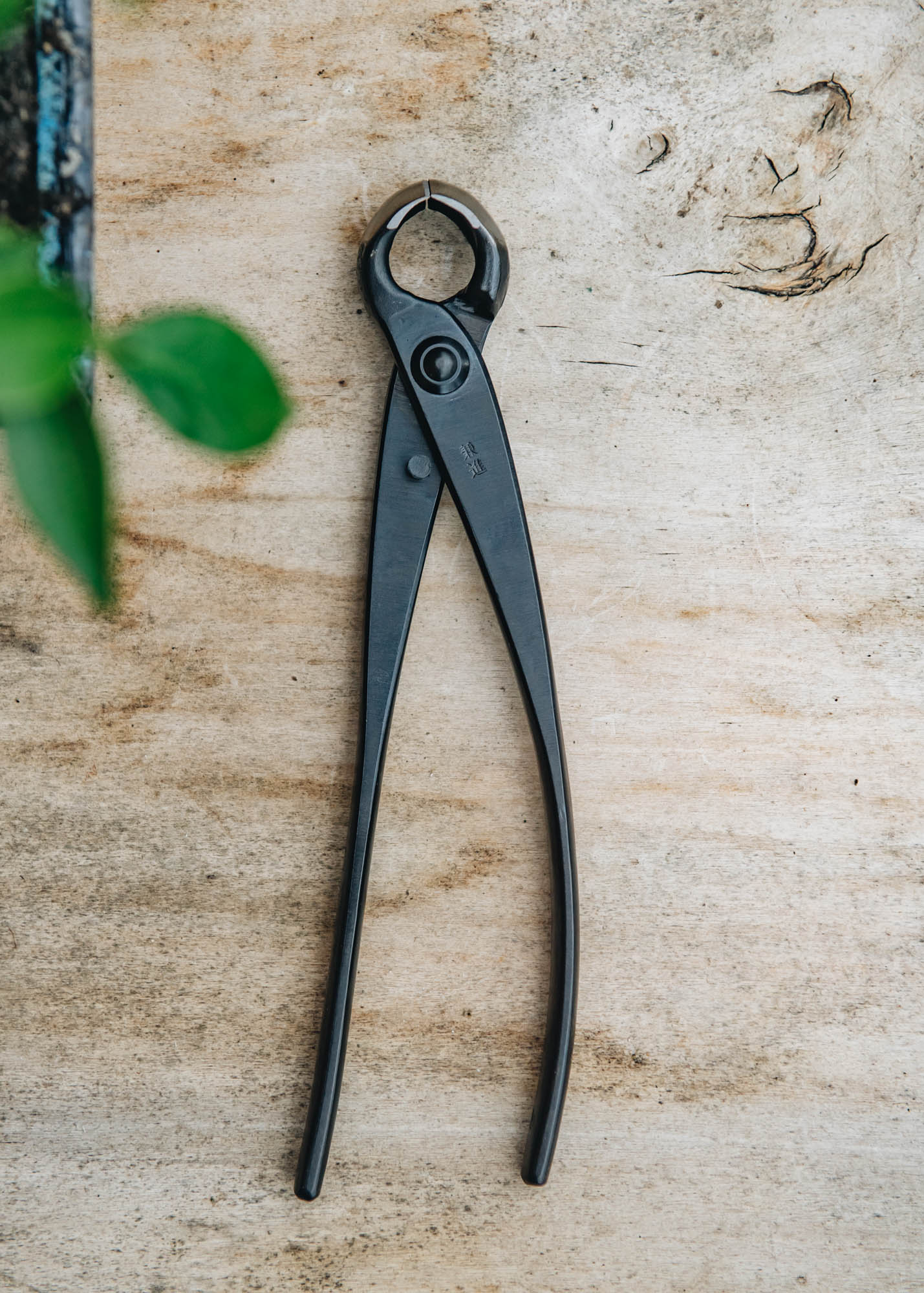 Niwaki Kaneshin Bonsai Knuckle Cutters