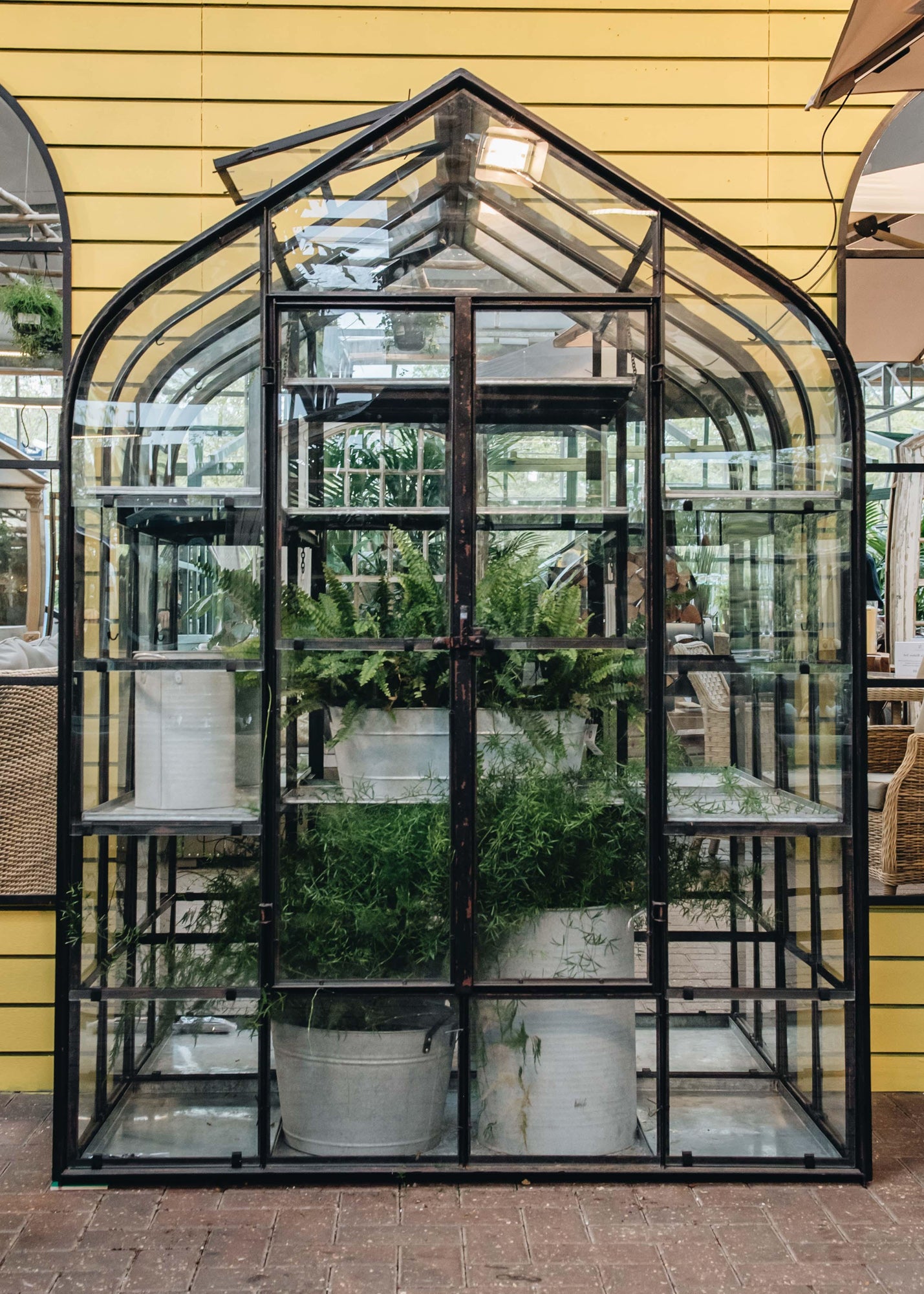 Large Indoor Outdoor Black Greenhouse