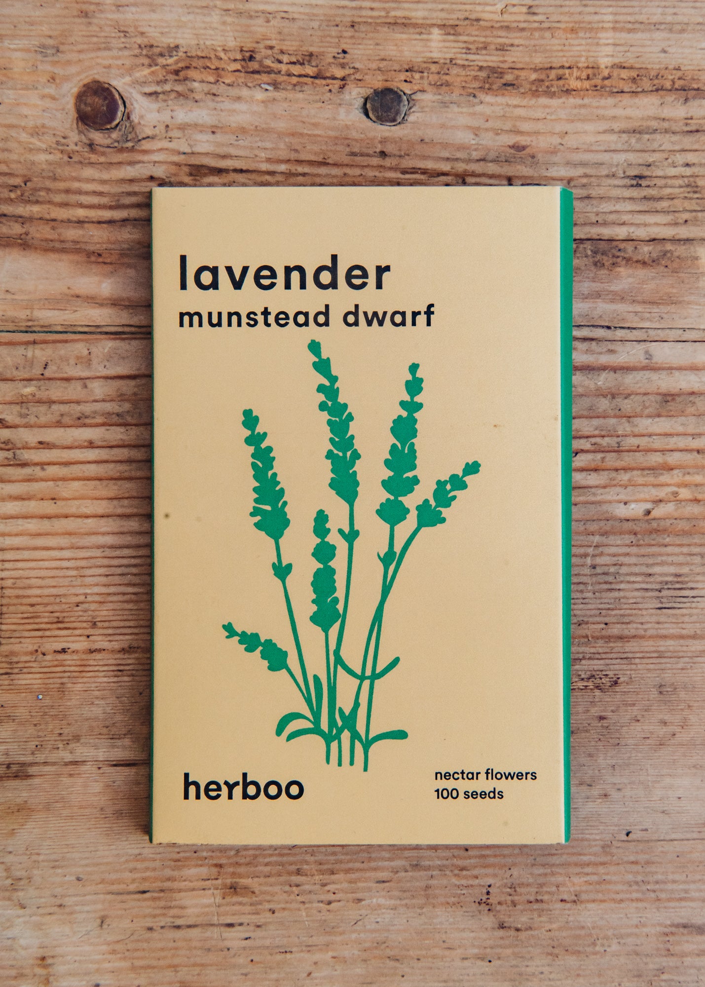 Dwarf Lavender Munstead Seeds