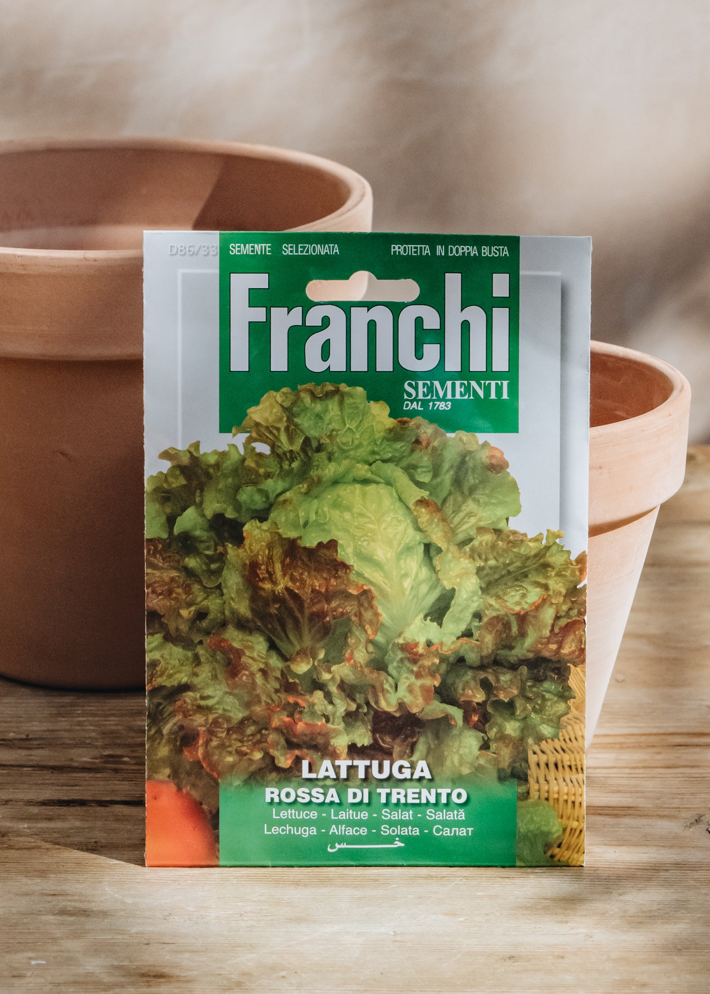 Franchi Lettuce 'Rossa di Trento' Seeds