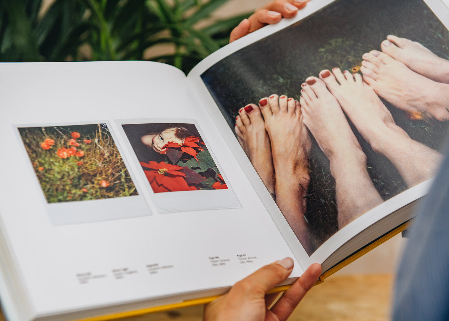 Art, Fashion and Design Books Linda McCartney: The Polaroid Diaries