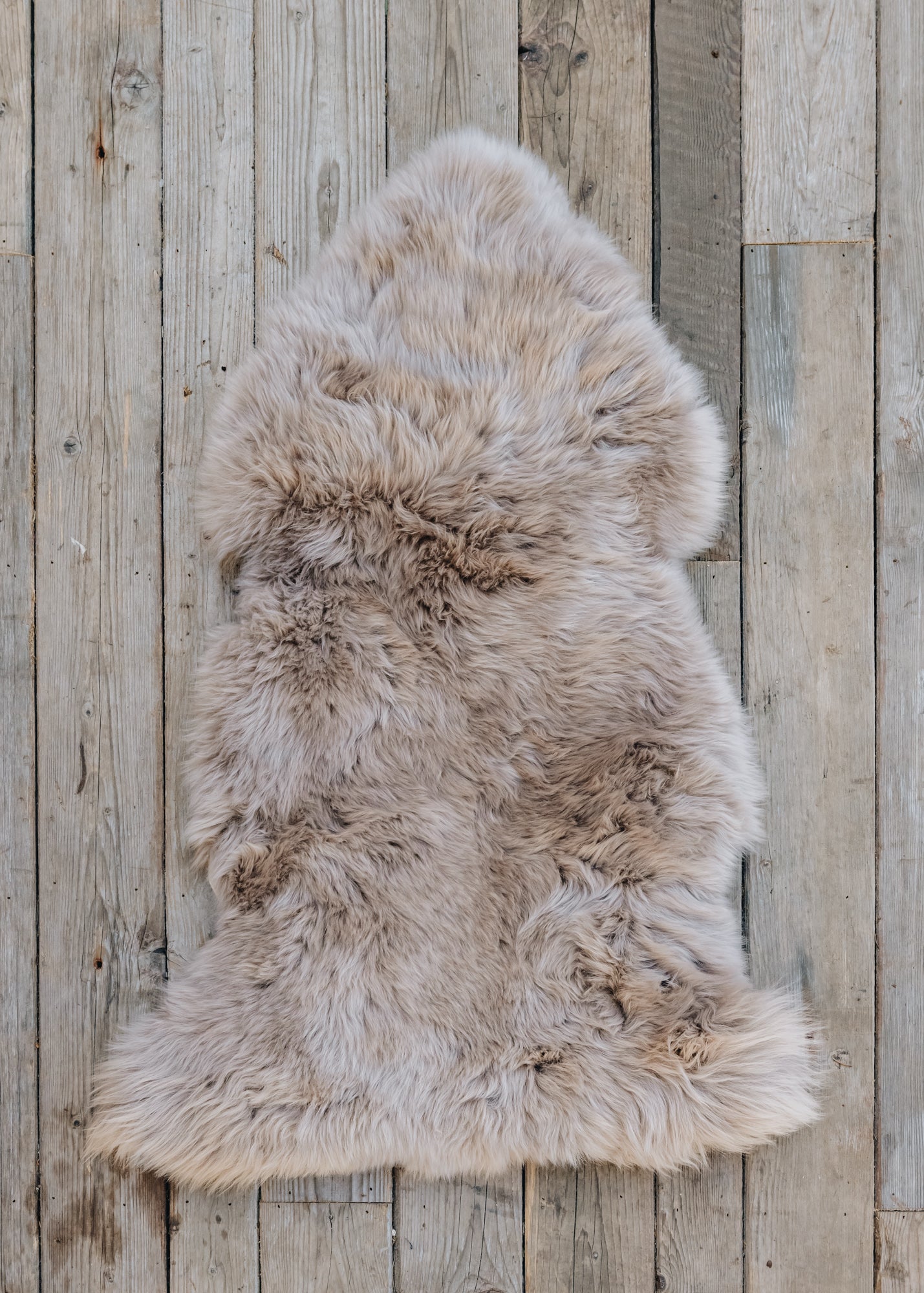Shepherd of Sweden Shepherd of Sweden Long Haired Linn Sheepskin in Camel