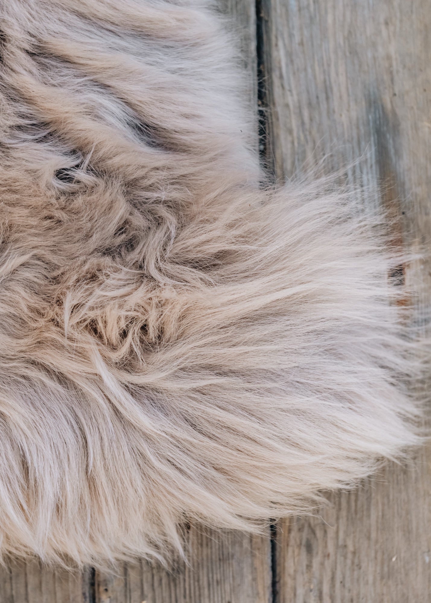 Shepherd of Sweden Long Haired Linn Sheepskin in Camel