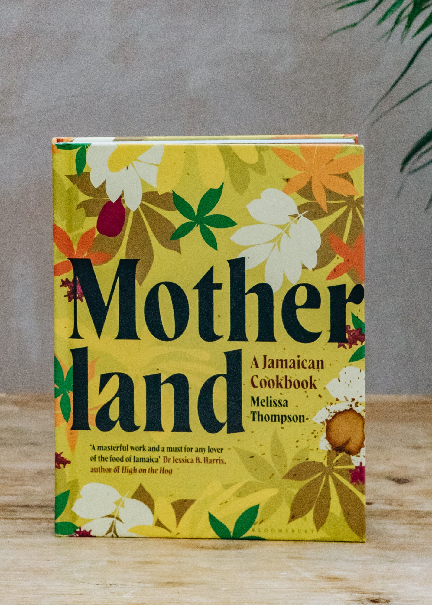 Motherland- A Jamaican Cookbook