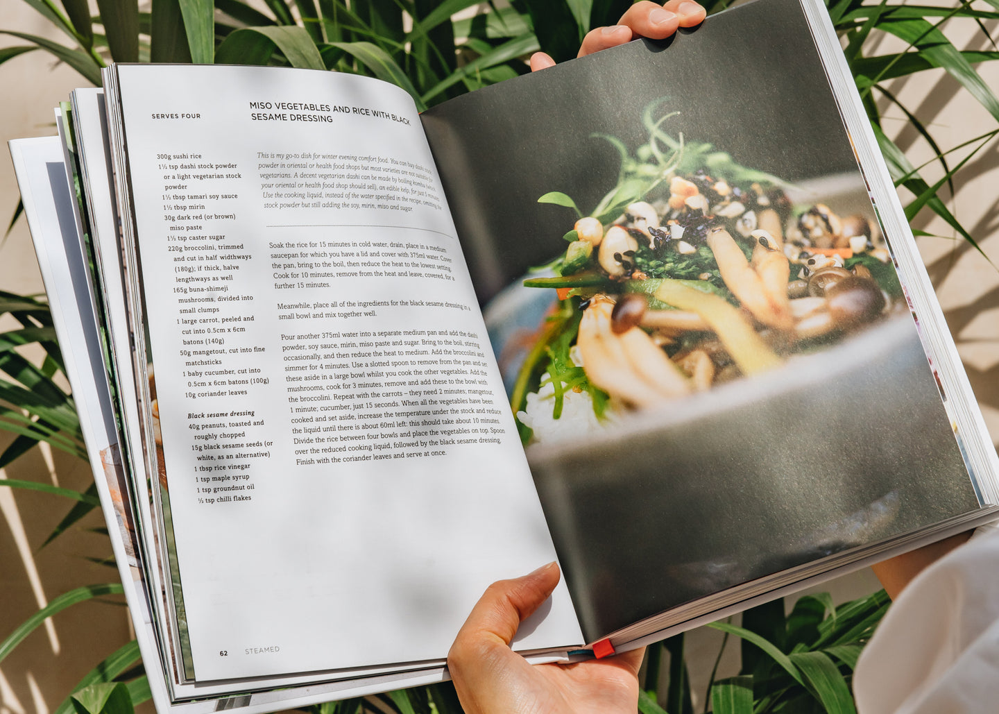 Cooking and Food Books Ottolenghi: Plenty More
