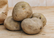 Taylors Bulbs Seed Potato 'Pentland Javelin', 2kg