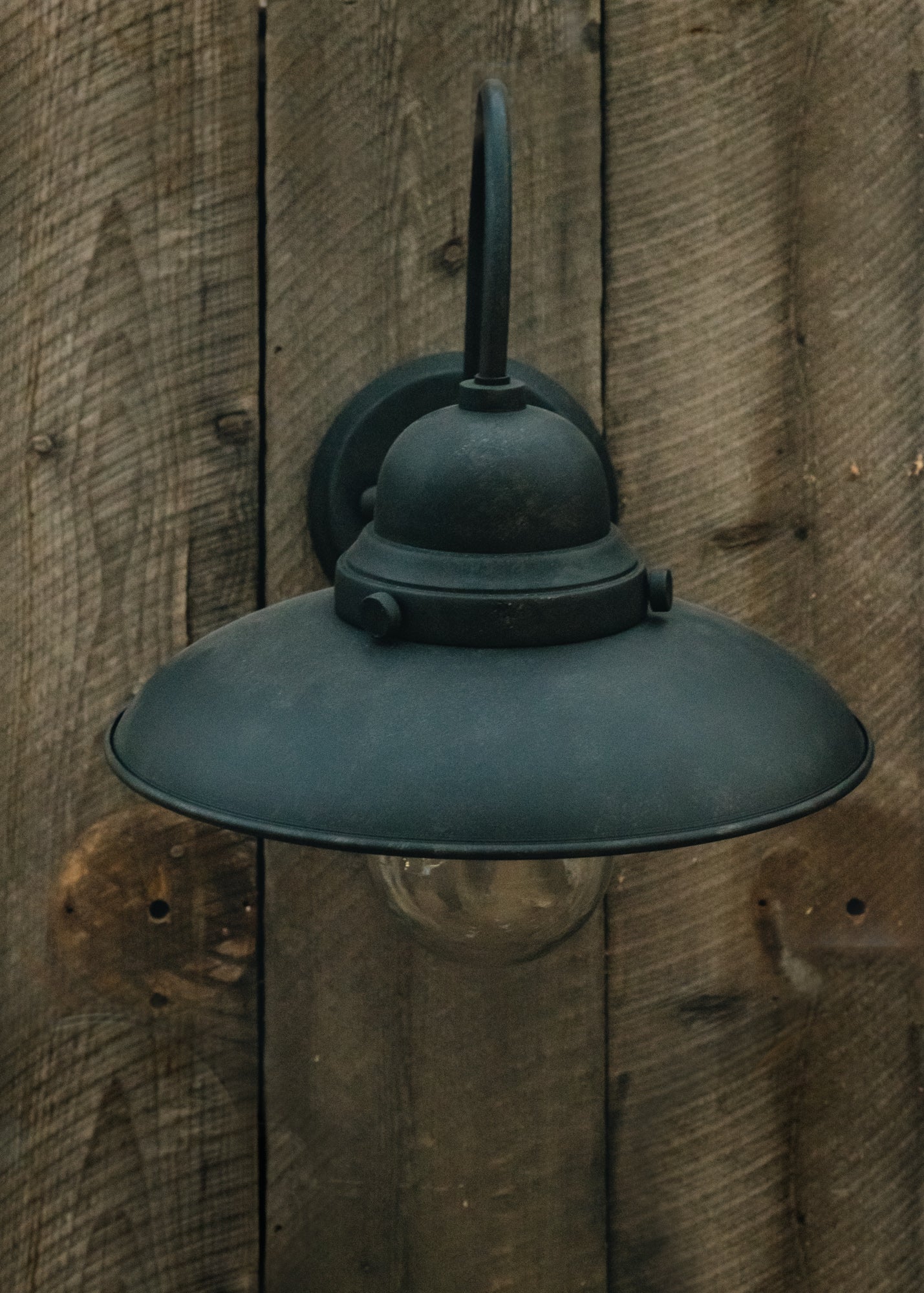Black swan outlet neck outdoor light