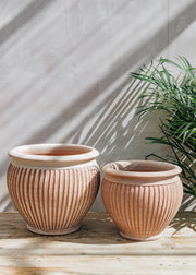 Bergs Potter Piccolina Rosa Pot