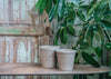 Pearl Helena Pots