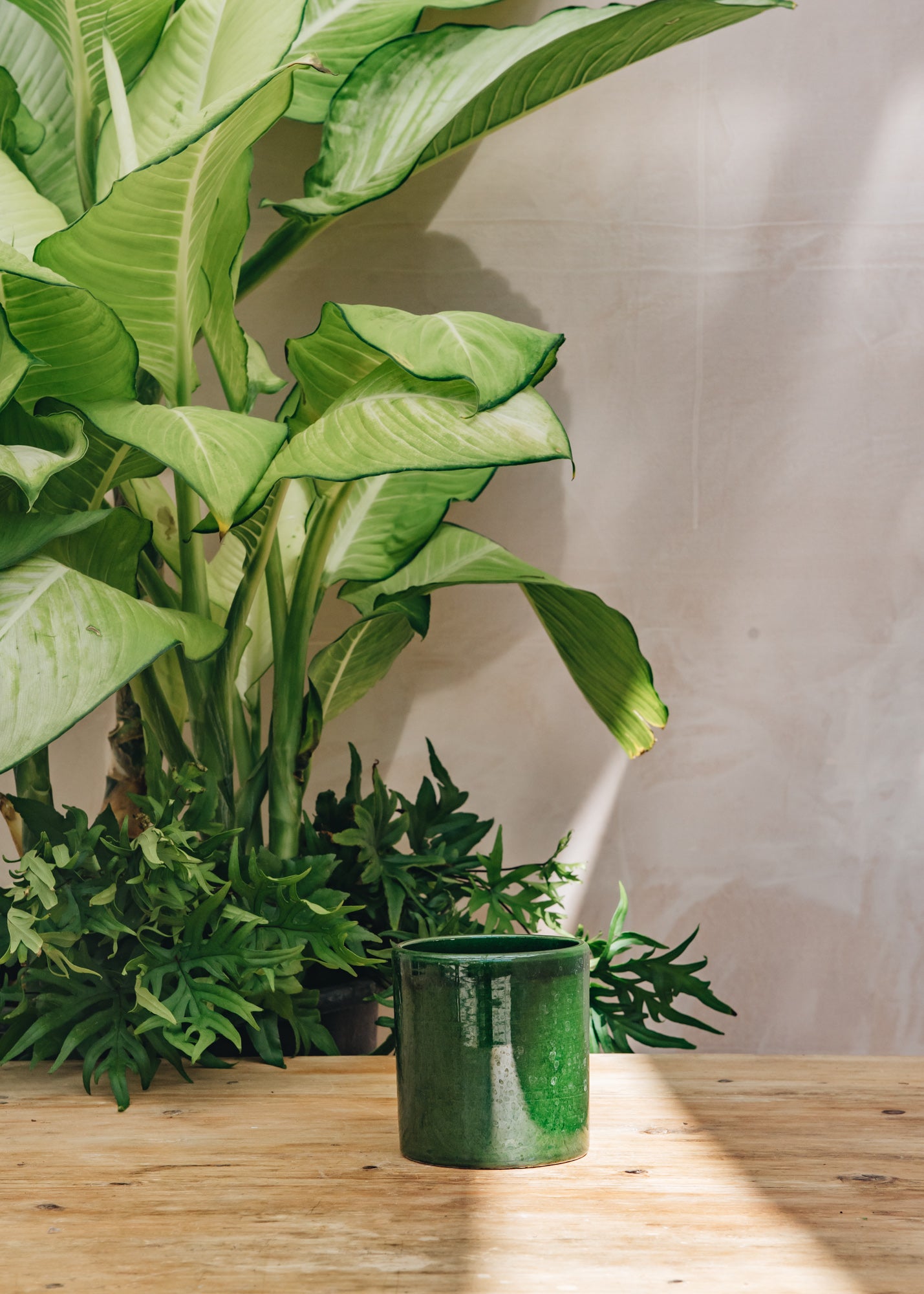 Emerald Romeo Pots