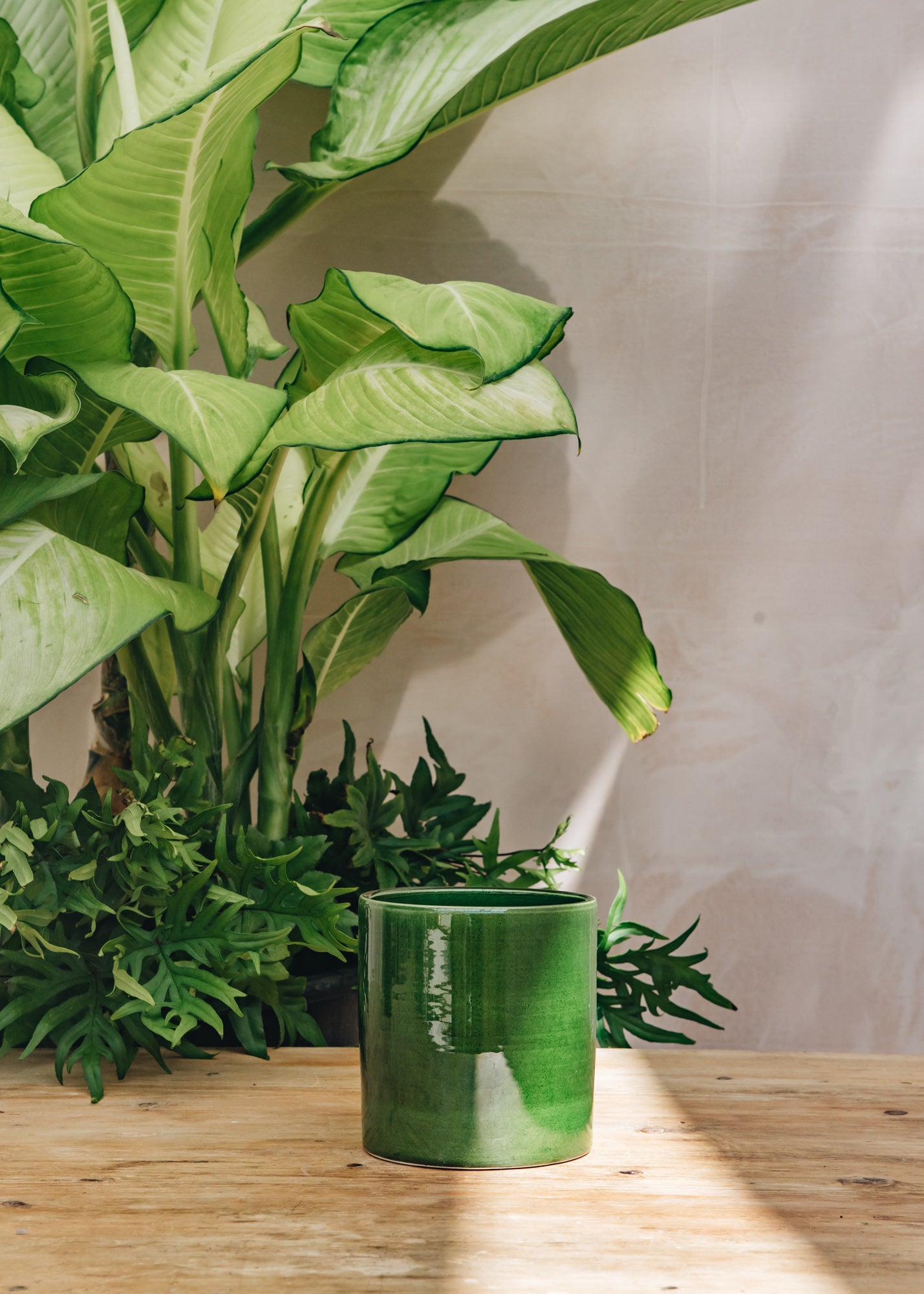 Emerald Romeo Pots