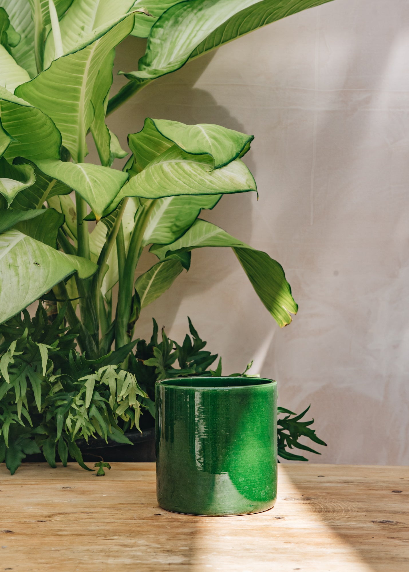 Emerald Romeo Pots