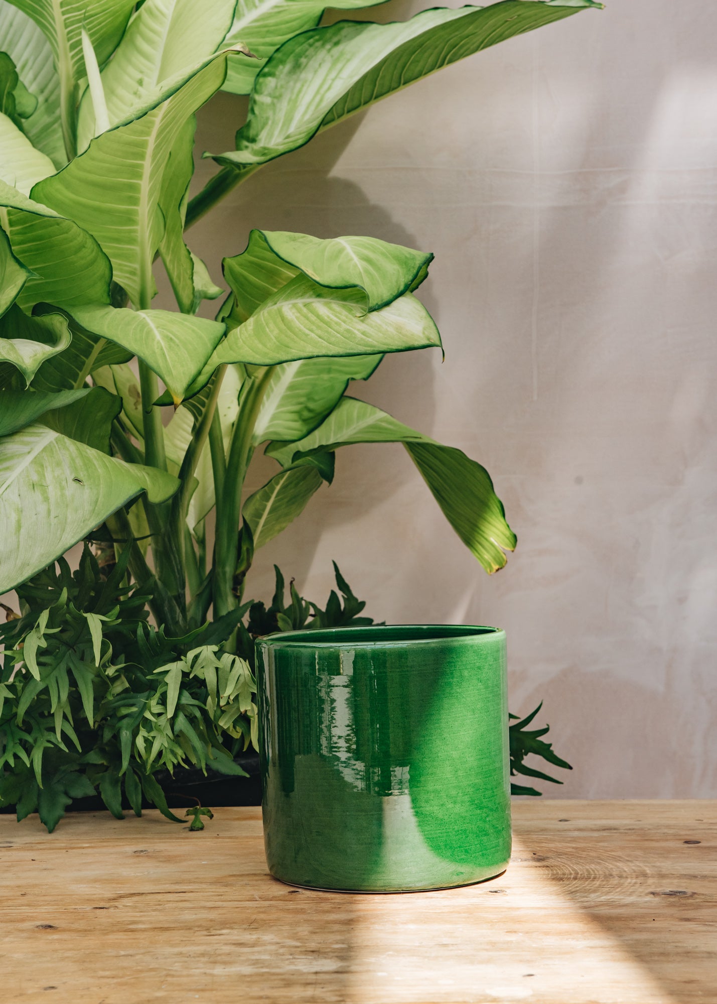 Emerald Romeo Pots