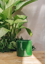 Emerald Romeo Pots