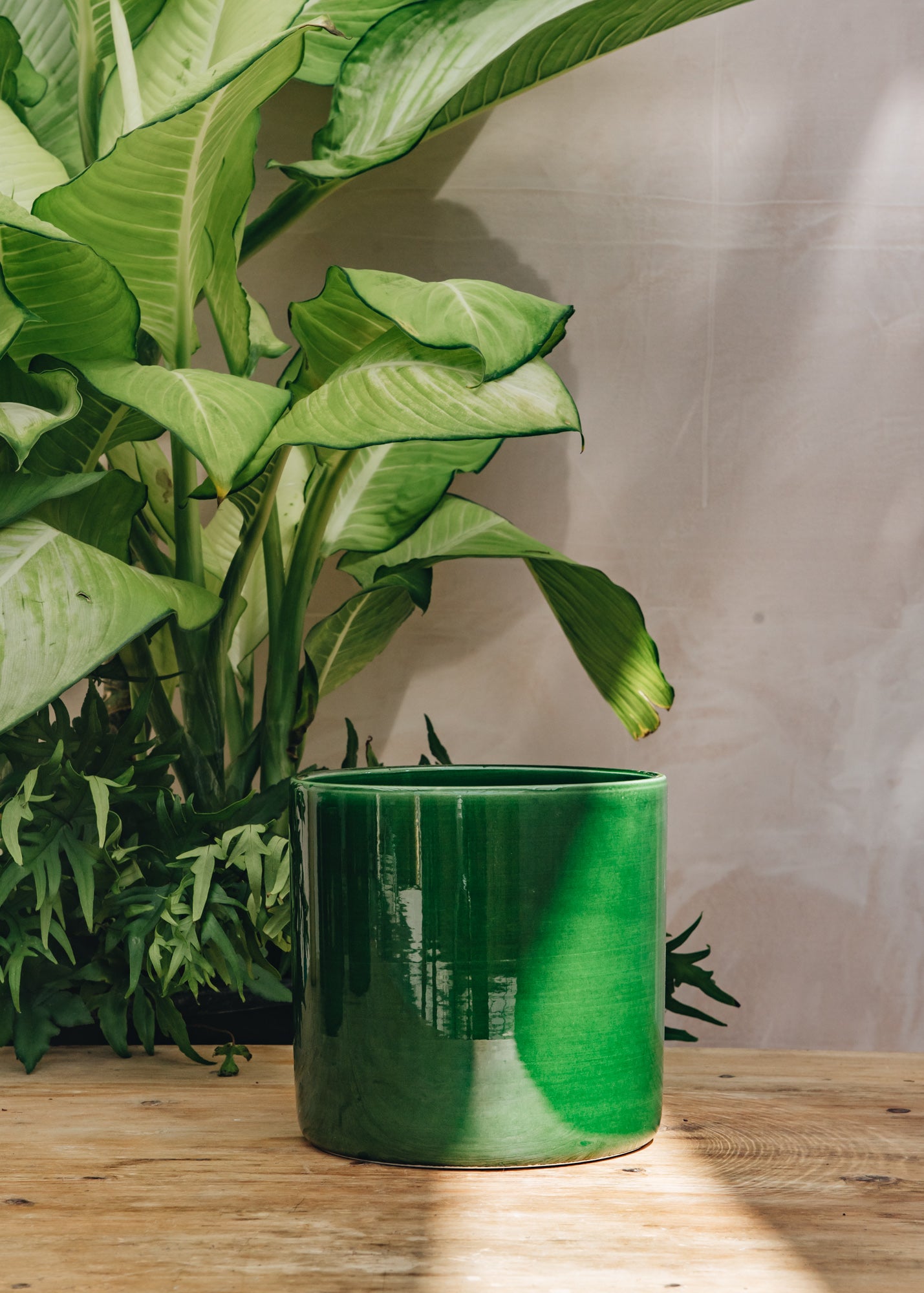 Emerald Romeo Pots