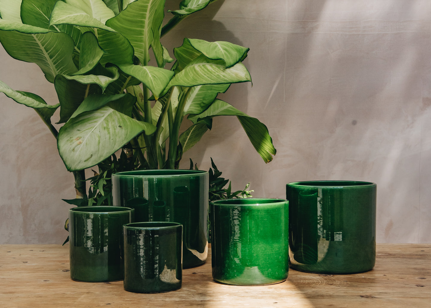 Emerald Romeo Pots