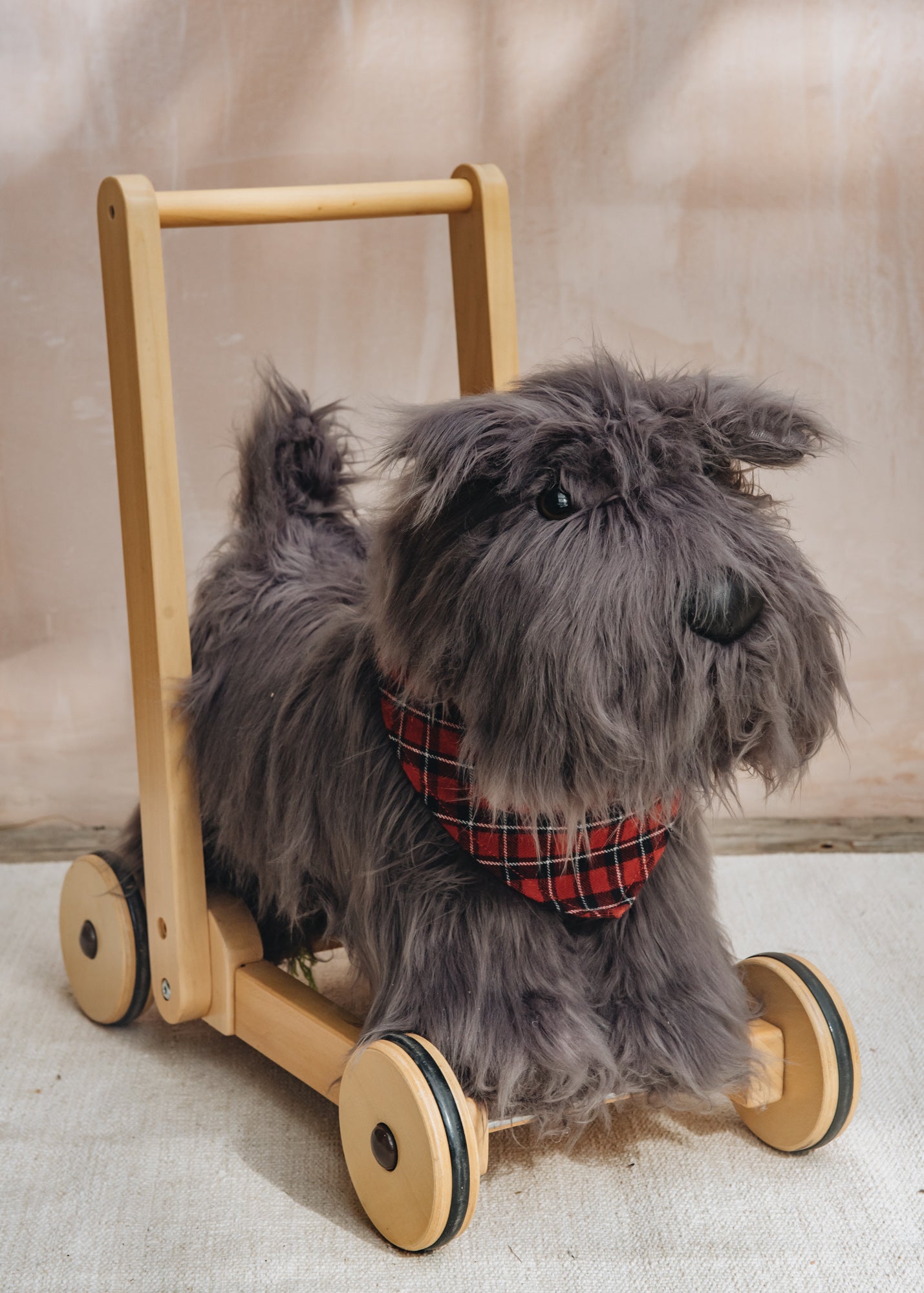 Push Along Scottie