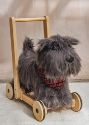 Push Along Scottie