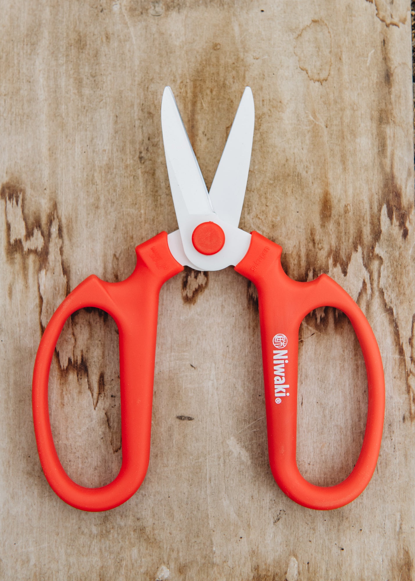 Flowers scissors 2025