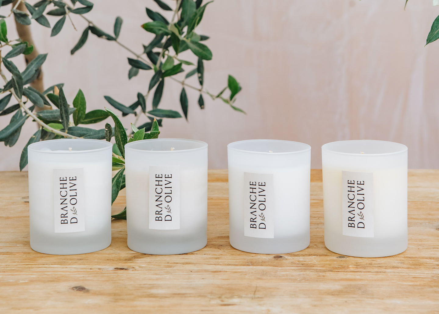 Branche D'Olive Scented Candles