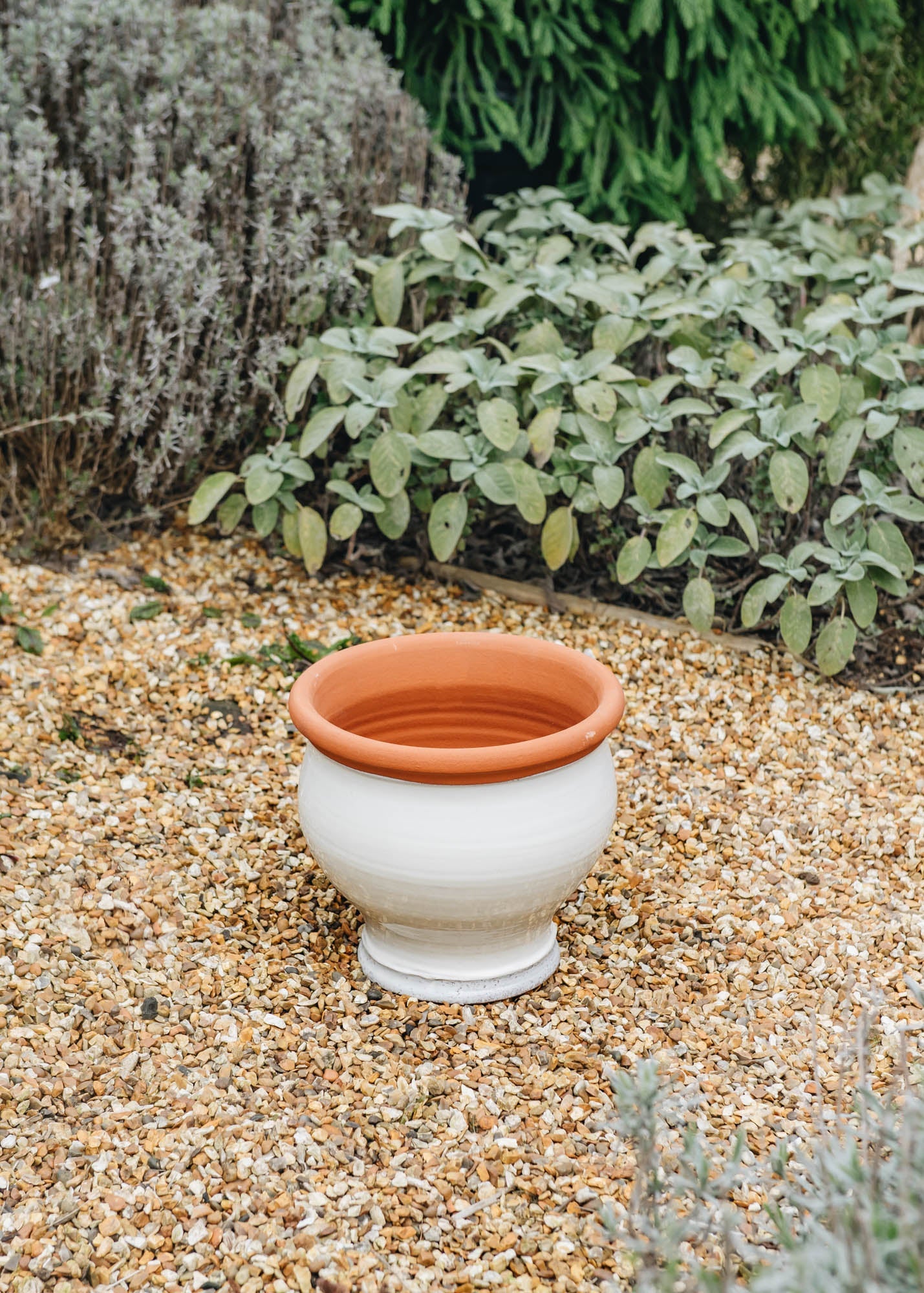 Small Bellied Planters