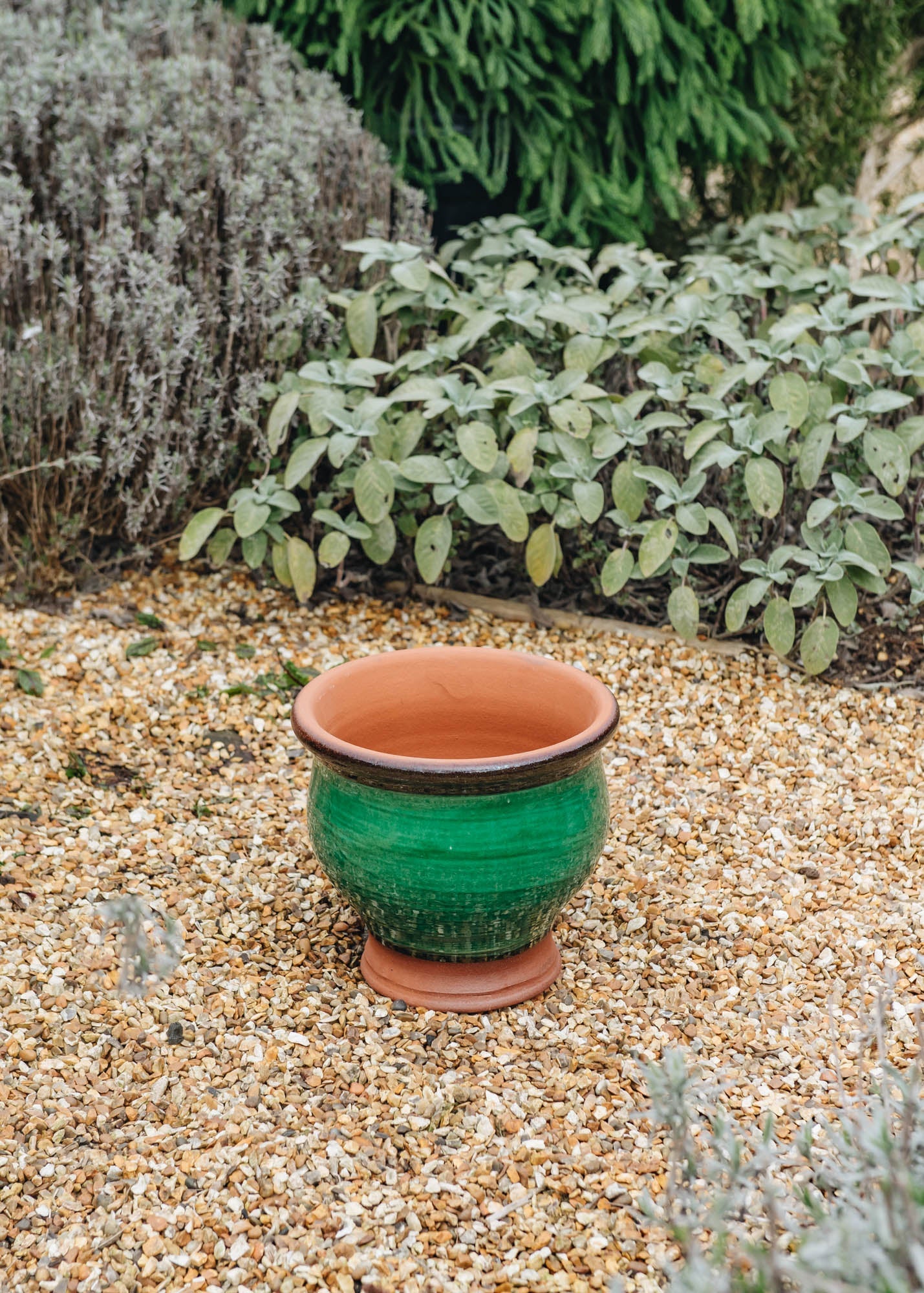 Small Green Bellied Planters