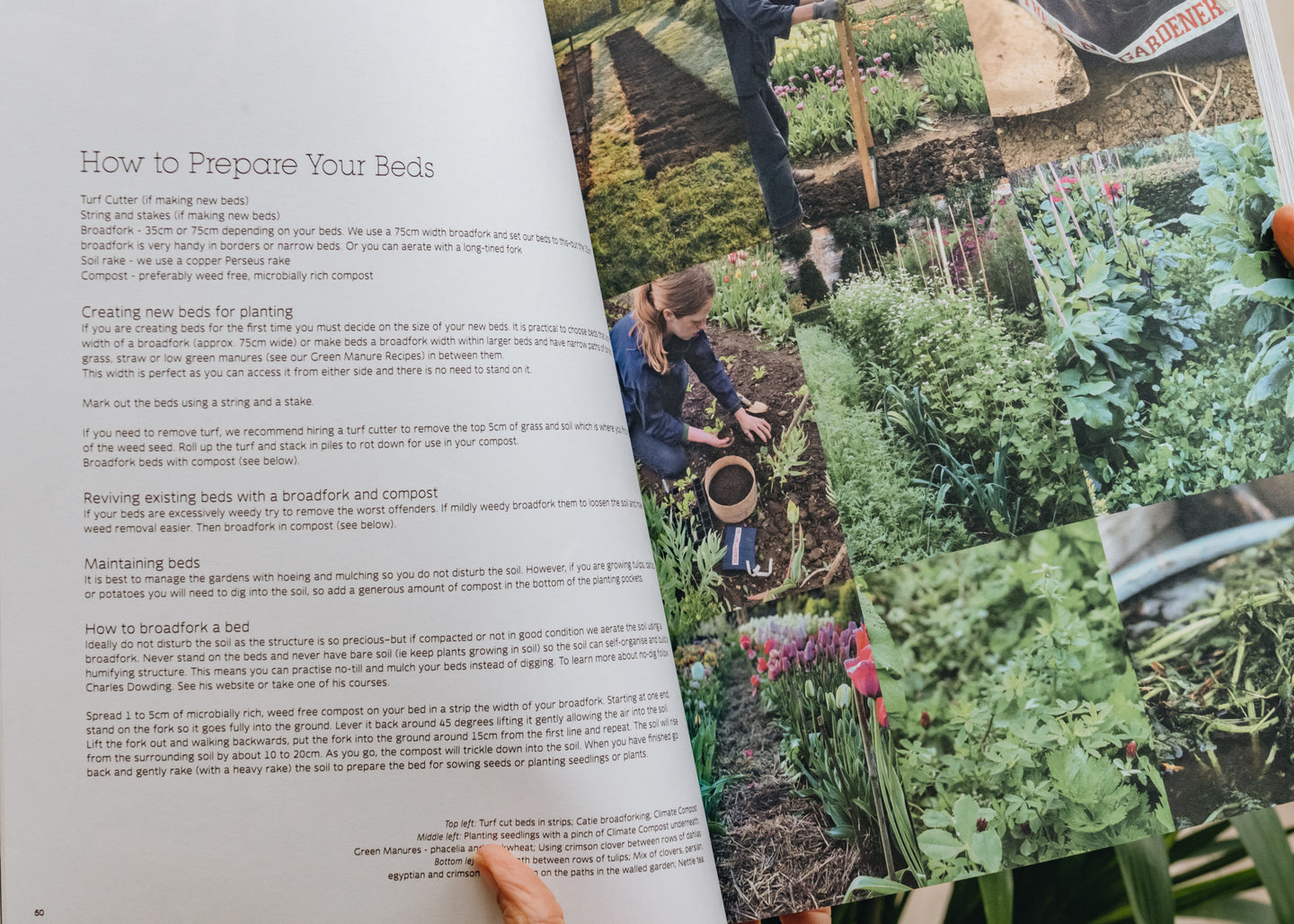 The Land Gardeners: Soil to Table