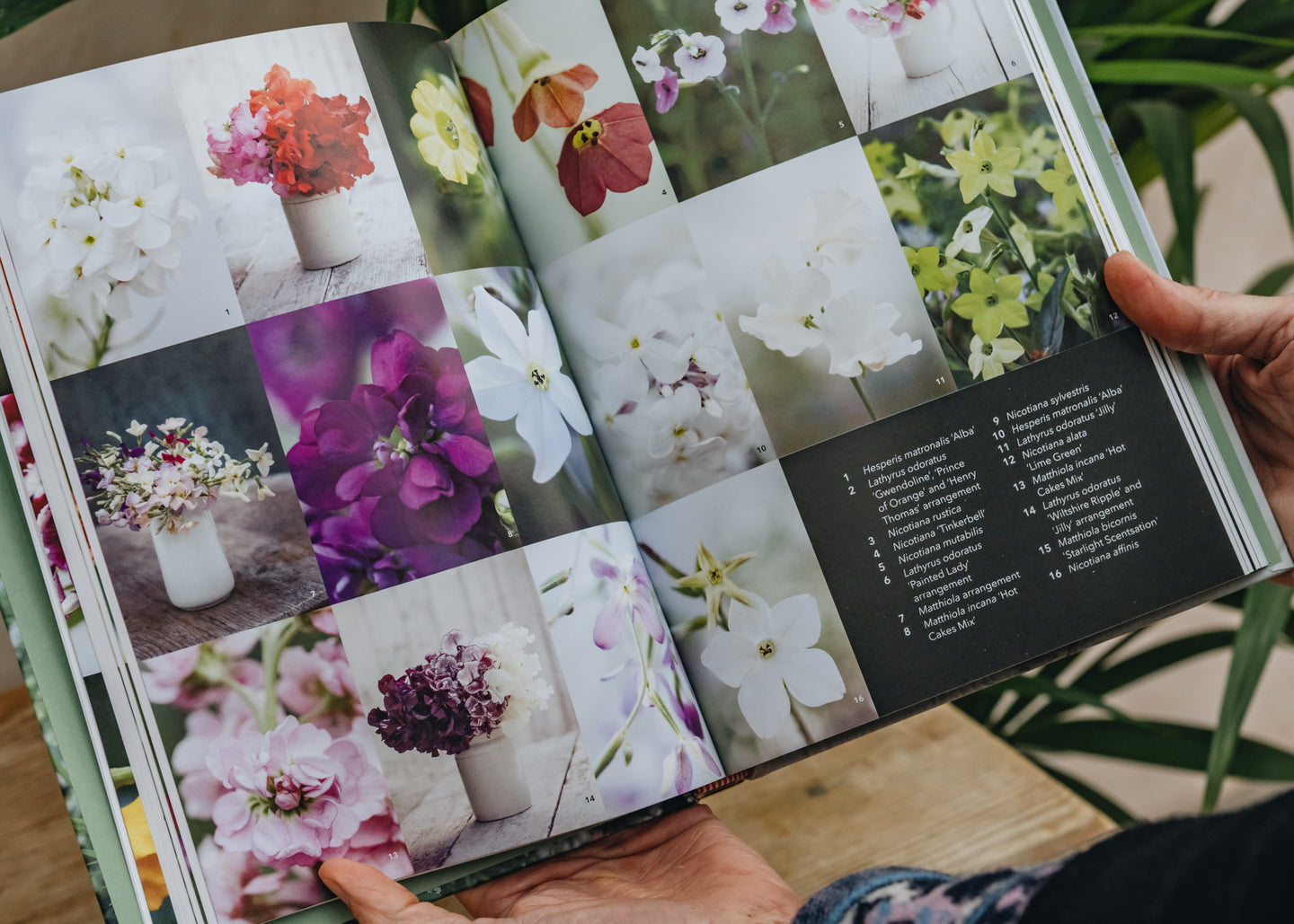 Gardening Books The Flower Garden: How to Grow Flowers From Seed