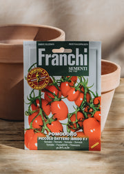 Franchi Tomato 'Baby Plum Valido' Seeds F1