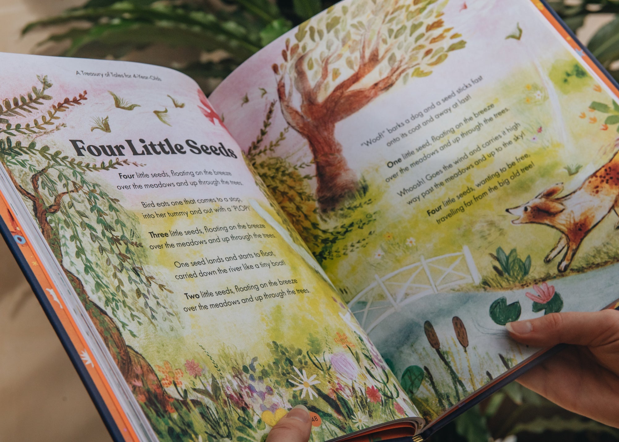まよ　Treasury of 50 Storybook Amazon.com: My Very First Treasury of 50 Storybook Classics