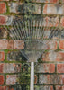 Leaf Rake Twenty Tines