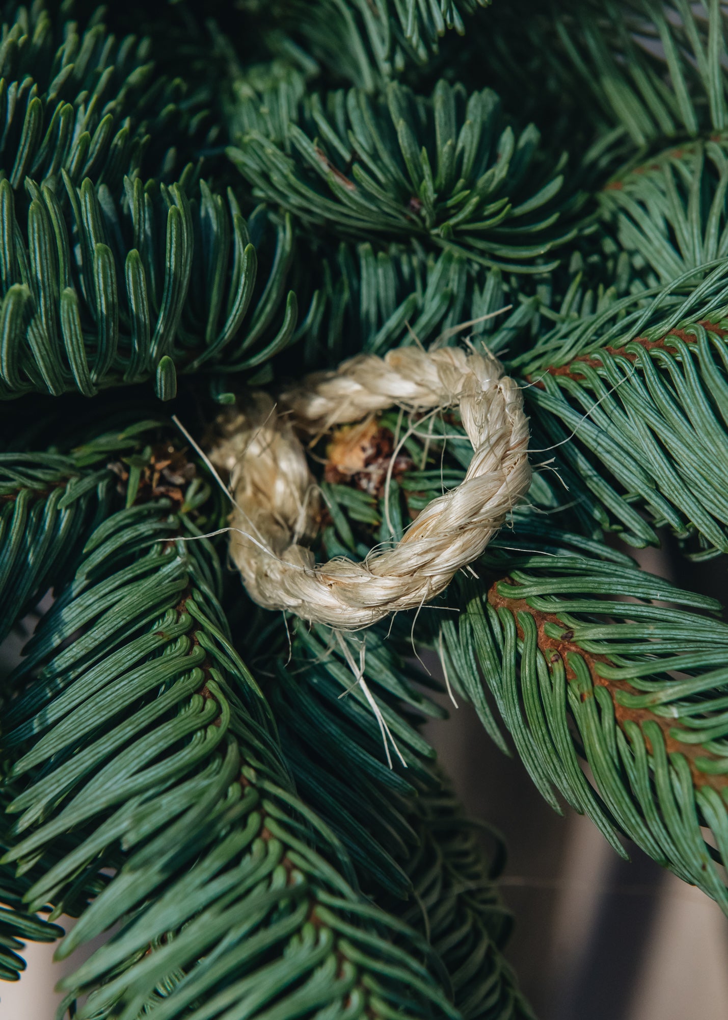 Christmas Trees Two Metre Fir Garland