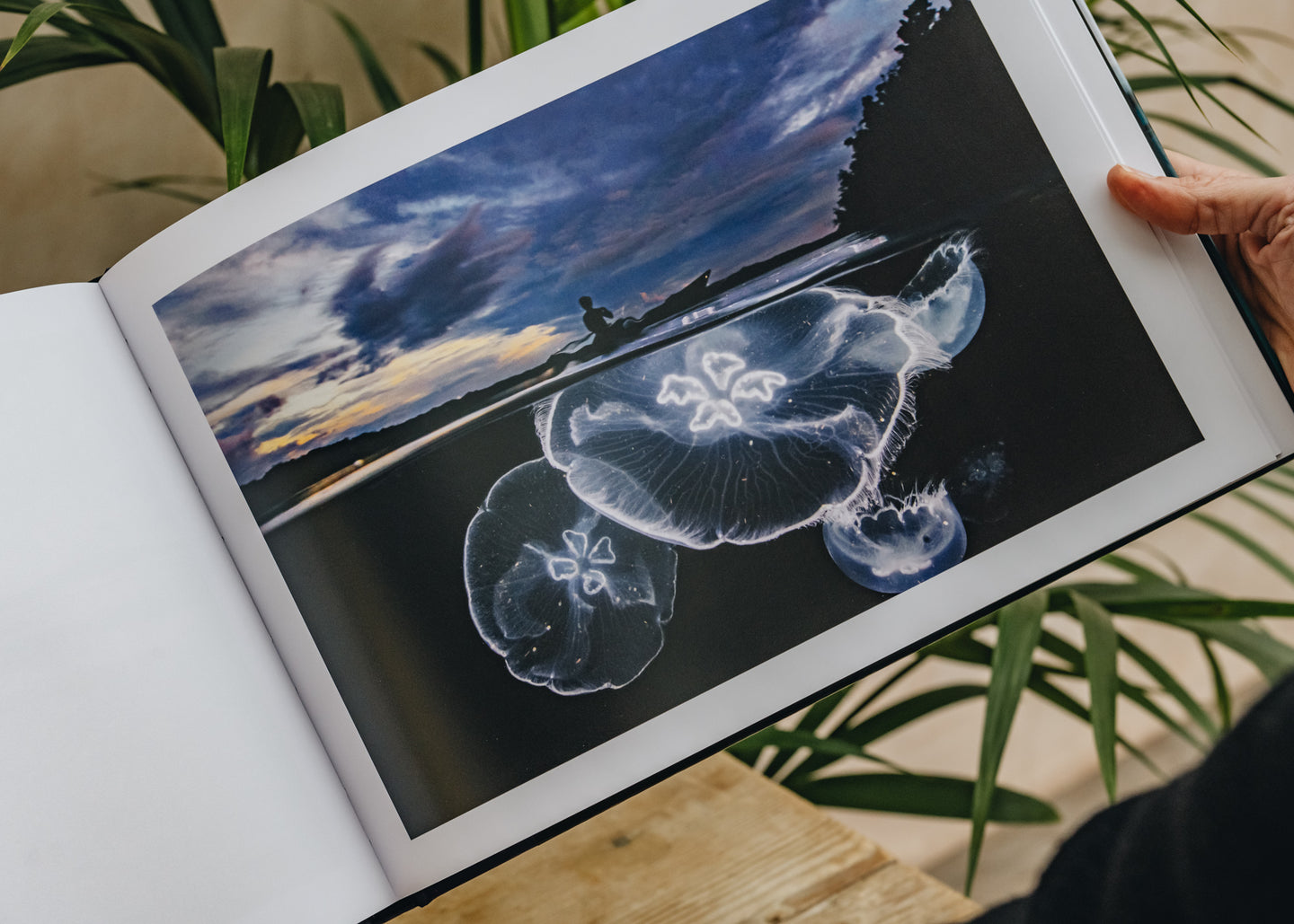 Travel Books Two Worlds: Above and Below the Sea