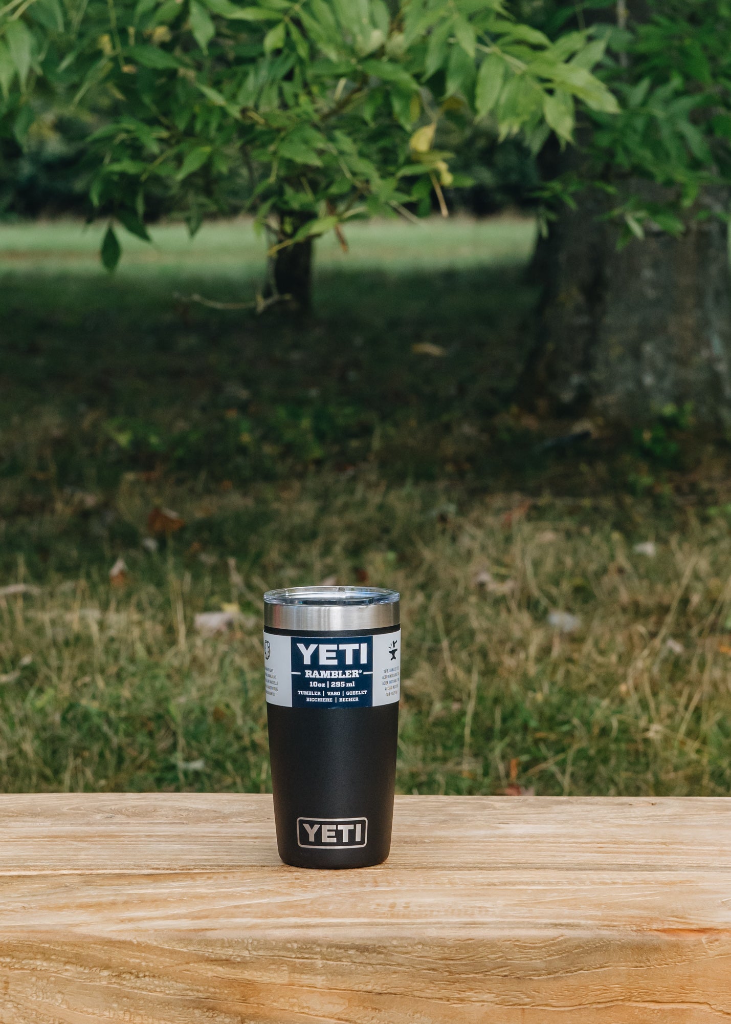 YETI Rambler Tumbler 10oz in Black